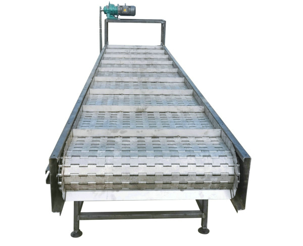 小型链板提升机